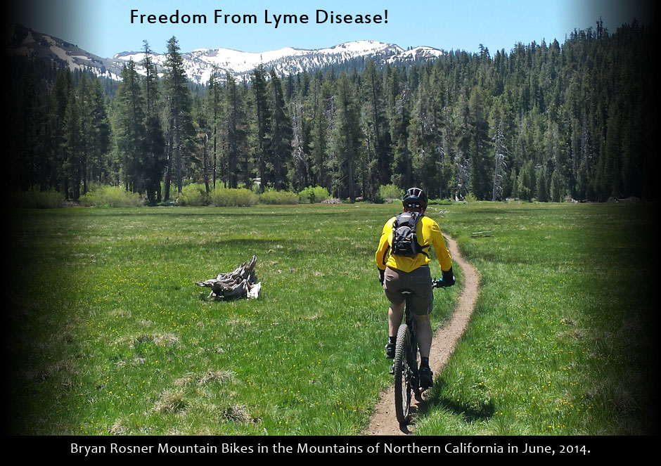 When Antibiotics Fail: Lyme Disease and book by Bryan Rosner