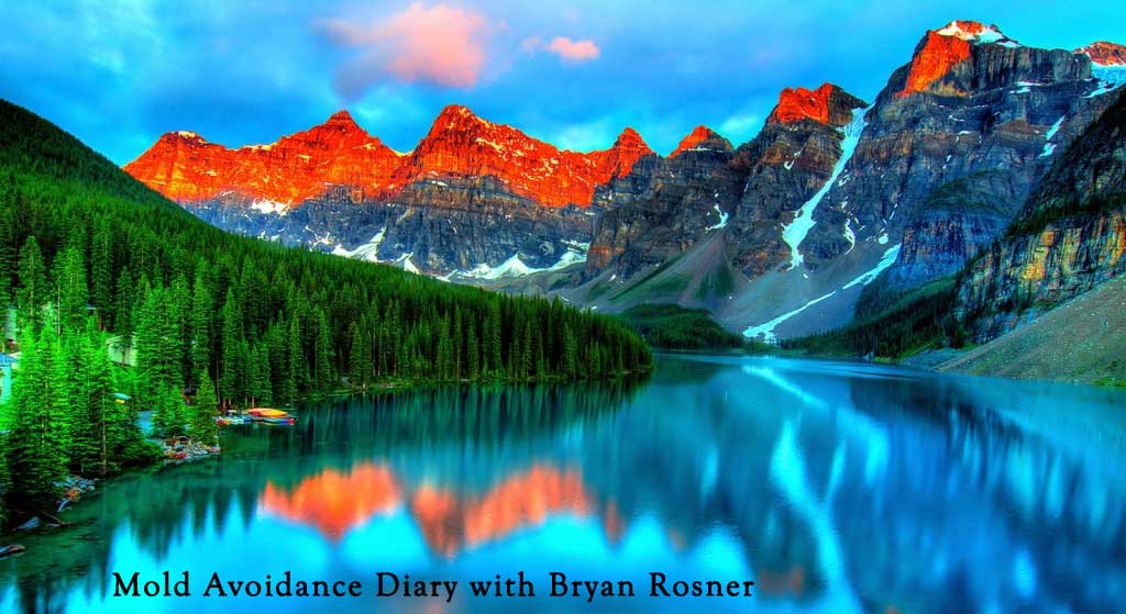 Bryan Rosner’s Mold Avoidance Diary header image