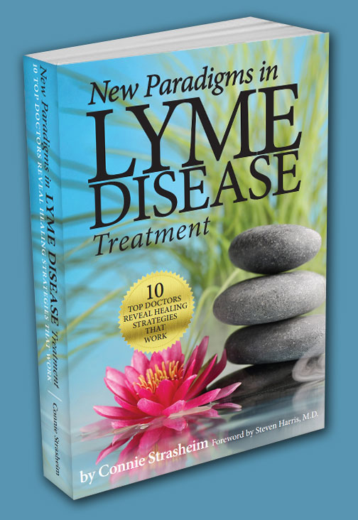 New Paradigms in Lyme Disease Treatment book cover